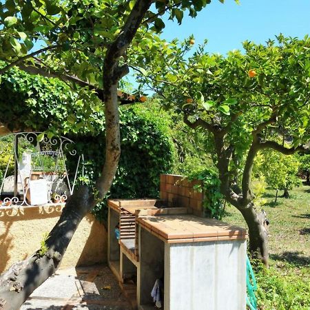 Finca Es Verger Des Port Villa Soller Ngoại thất bức ảnh